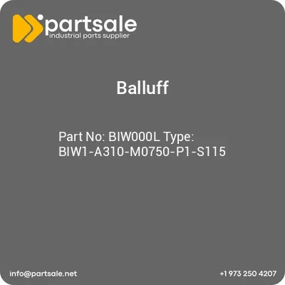 biw000l-type-biw1-a310-m0750-p1-s115