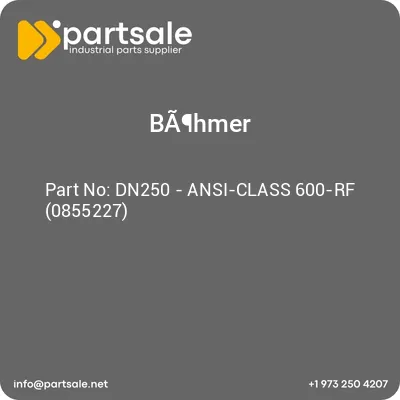 dn250-ansi-class-600-rf-0855227