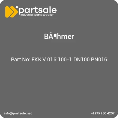 fkk-v-016100-1-dn100-pn016