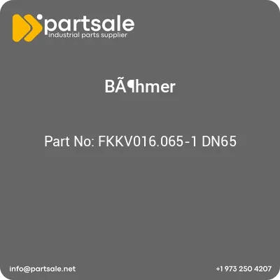 fkkv016065-1-dn65