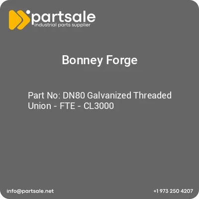 dn80-galvanized-threaded-union-fte-cl3000
