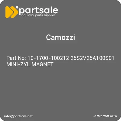 10-1700-100212-25s2v25a100s01-mini-zylmagnet