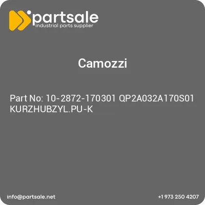 10-2872-170301-qp2a032a170s01-kurzhubzylpu-k