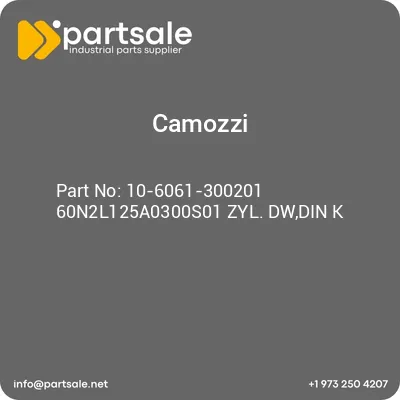 10-6061-300201-60n2l125a0300s01-zyl-dwdin-k