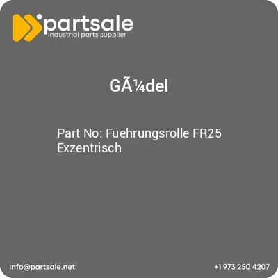 fuehrungsrolle-fr25-exzentrisch