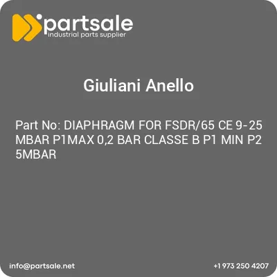 diaphragm-for-fsdr65-ce-9-25-mbar-p1max-02-bar-classe-b-p1-min-p2-5mbar