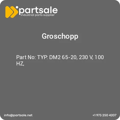typ-dm2-65-20-230-v-100-hz
