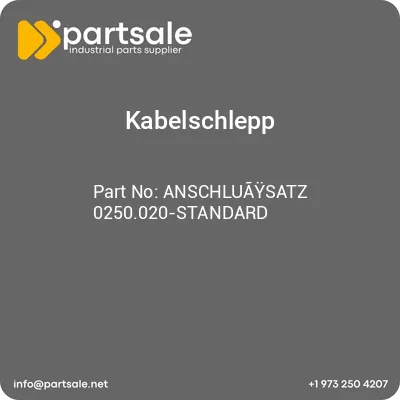 anschluaysatz-0250020-standard