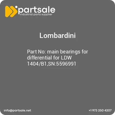 main-bearings-for-differential-for-ldw-1404b1sn5596991