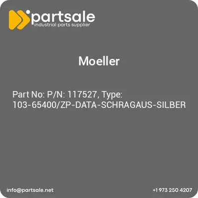 pn-117527-type-103-65400zp-data-schragaus-silber