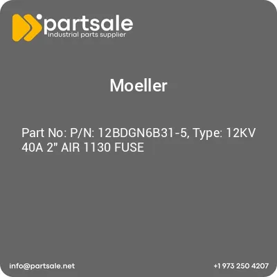 pn-12bdgn6b31-5-type-12kv-40a-2-air-1130-fuse