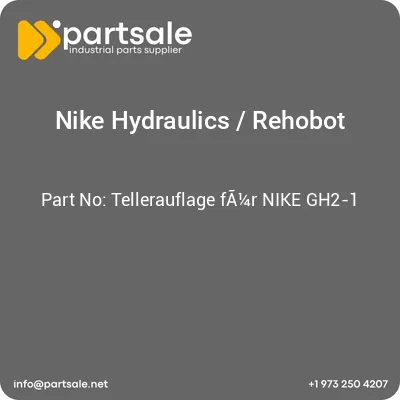 tellerauflage-fa14r-nike-gh2-1