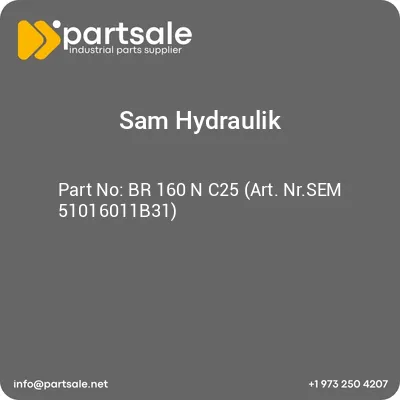 br-160-n-c25-art-nrsem-51016011b31