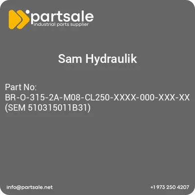 br-o-315-2a-m08-cl250-xxxx-000-xxx-xx-sem-510315011b31
